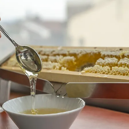 Hotel Della Signoria 3*